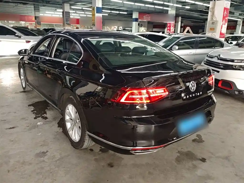 Volkswagen Magotan 2019 330TSI DSG Leading China V фото 5