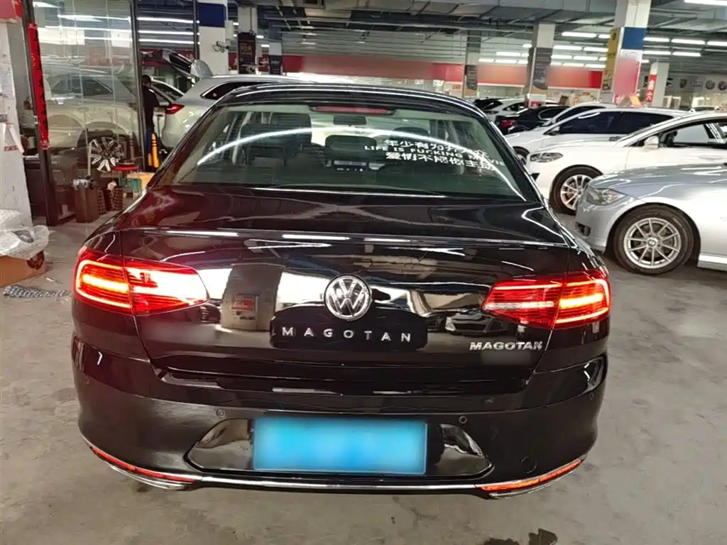 Volkswagen Magotan 2019 330TSI DSG Leading China V фото 6