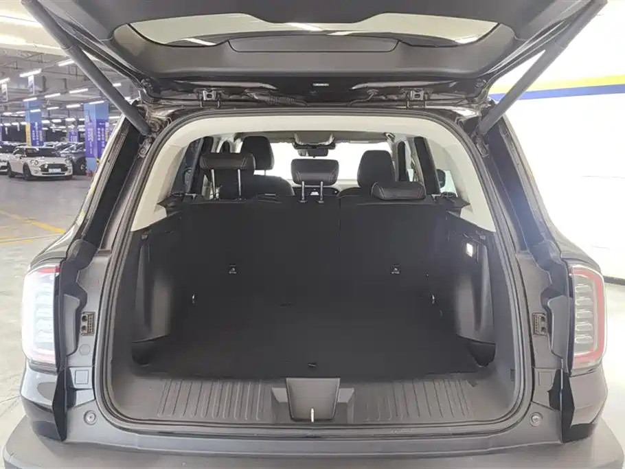 Haval Big Dog 2021 1.5T DCT 2WD Border Collie Edition фото 4