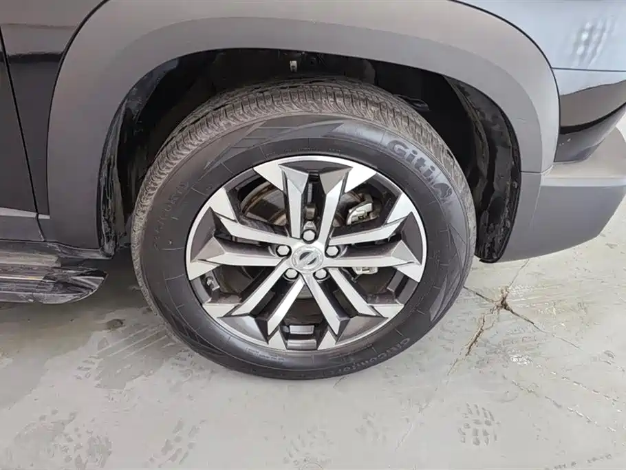 Haval Big Dog 2021 1.5T DCT 2WD Border Collie Edition фото 6