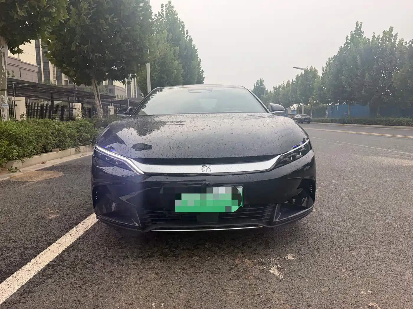 Фото 2 - BYD Han