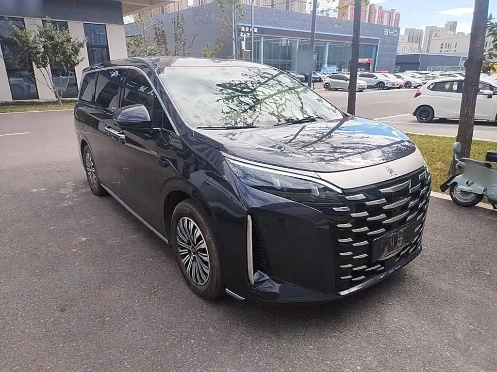 BYD Xia 2025 2025 DM-i 1.5T 180km Excellence