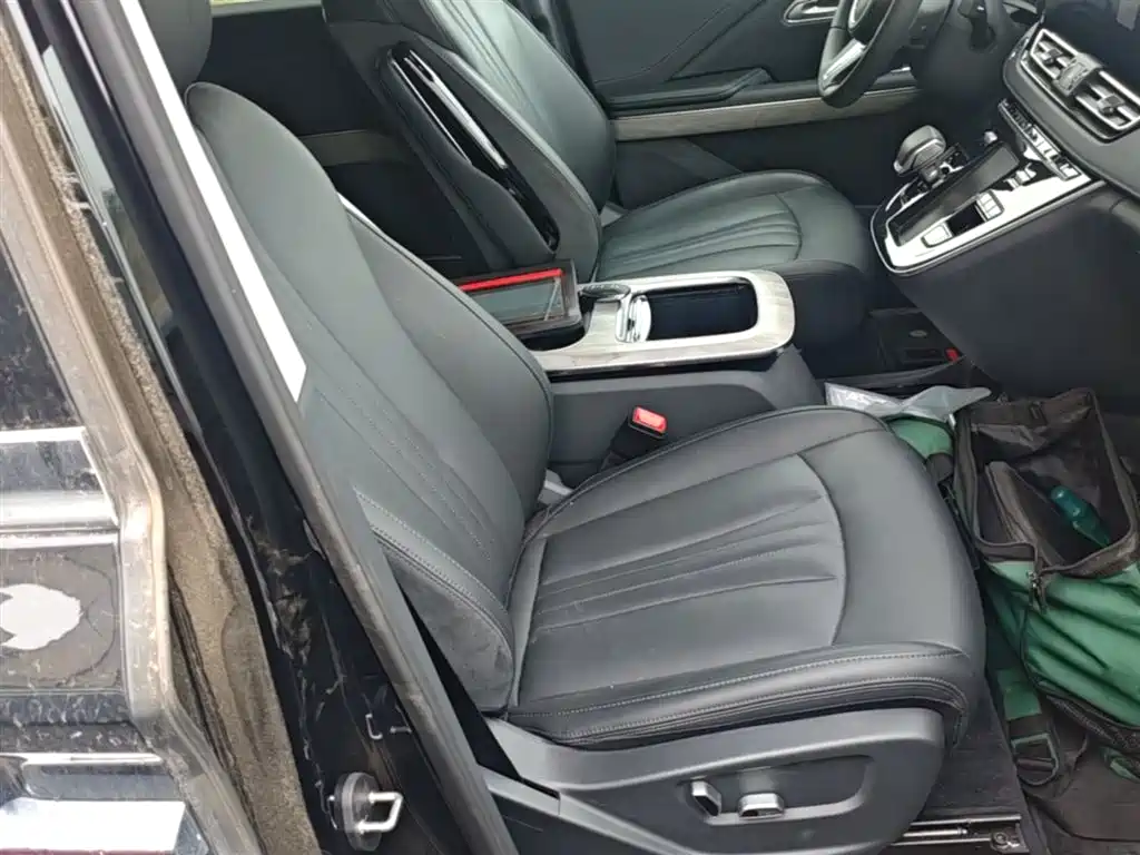 Hongqi HQ9 PHEV 2024 Model 2.0T AWD Business Edition фото 25