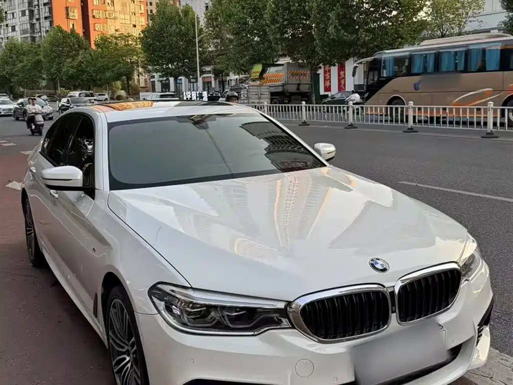 BMW 5 Series 2018 530Li Premium M Sport Package фото 6