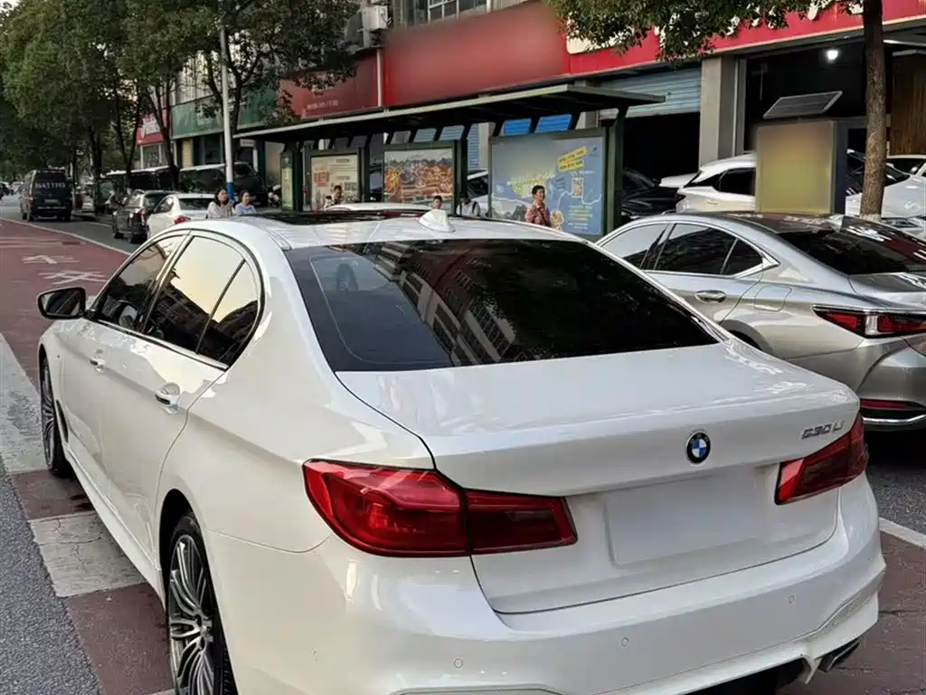 BMW 5 Series 2018 530Li Premium M Sport Package фото 7