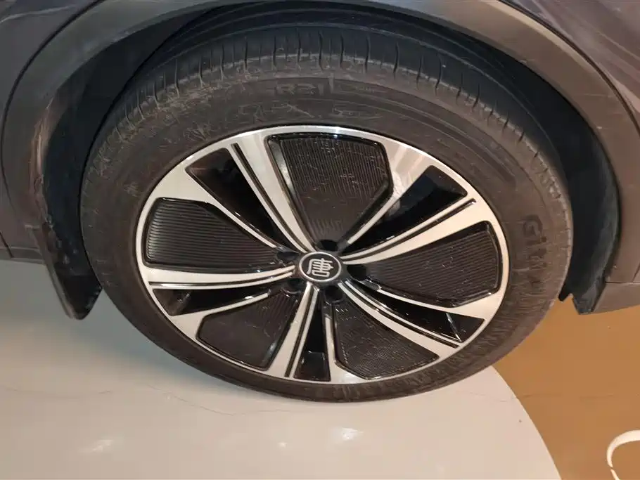 BYD Tang New Energy 2022 DM-p 215KM AWD Flagship фото 6