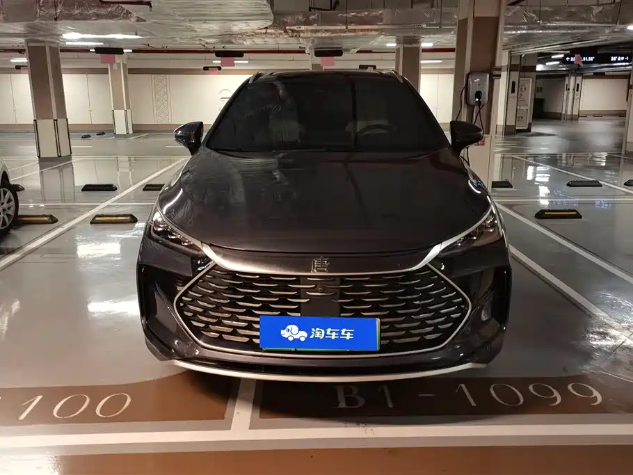 BYD Tang New Energy 2022 DM-p 215KM AWD Flagship фото 2