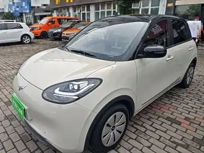 Wuling Bingo