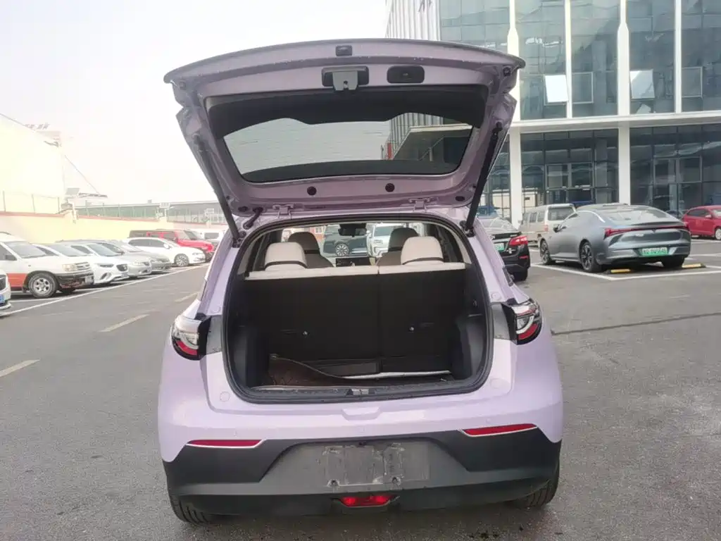 Geely Galaxy Starry Wish 2026 2026 Edition 410km Freedom Version