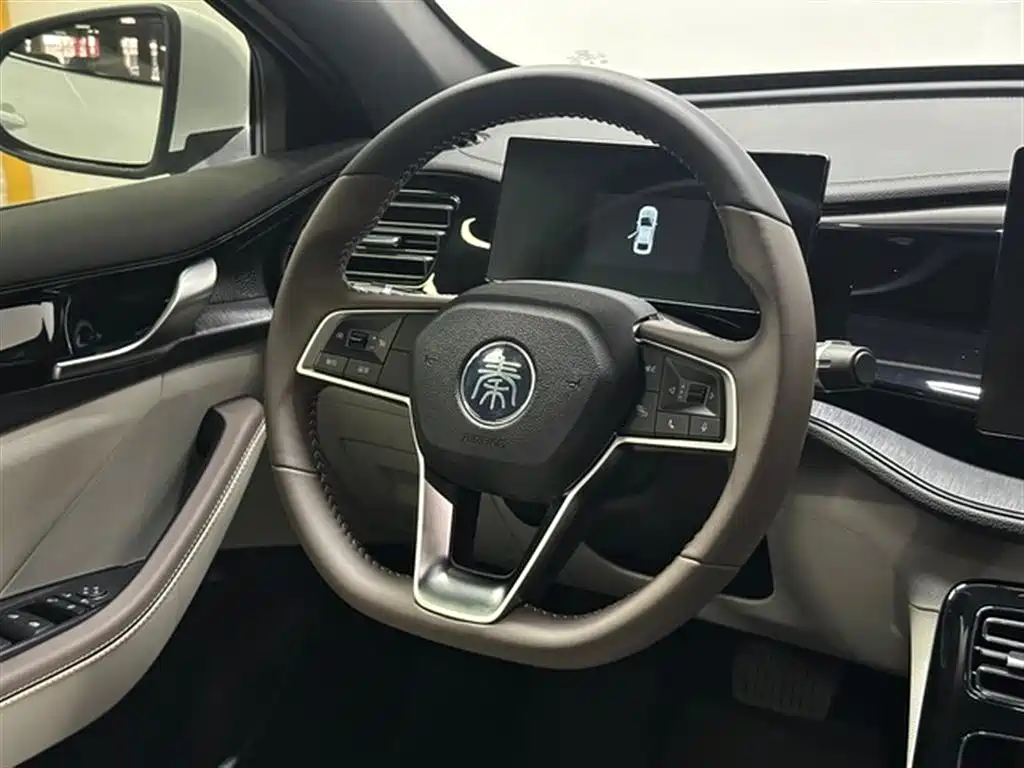 BYD Qin PLUS 2024 Glory Edition DM-i 55KM Leading фото 17