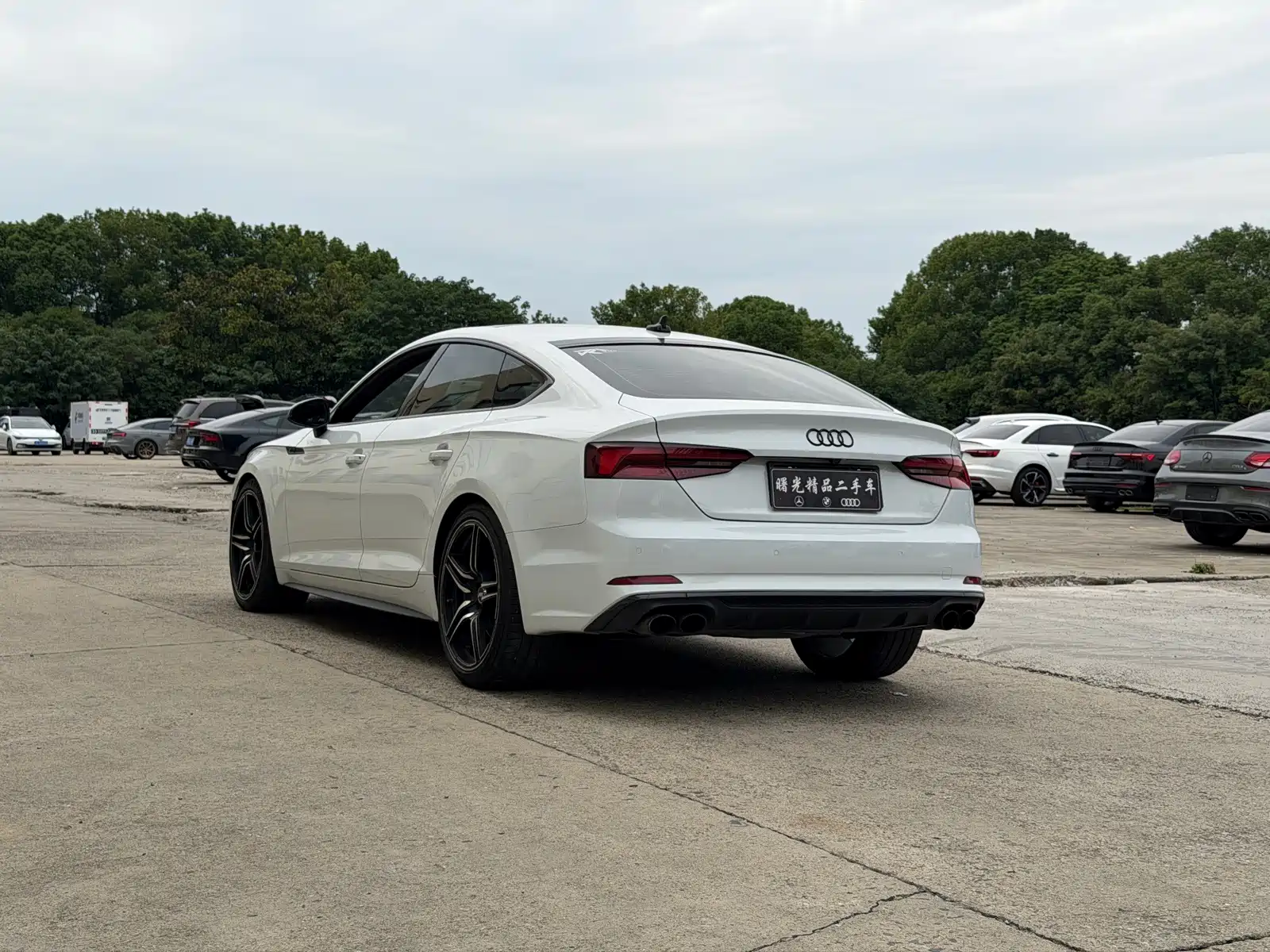 Фото 14 - Audi S5