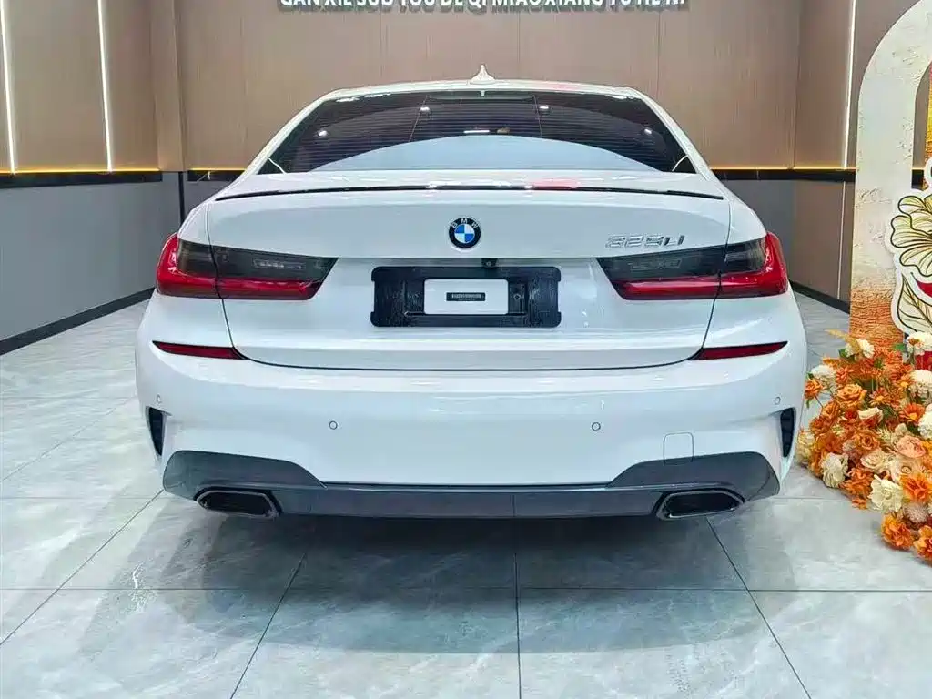 BMW 3 Series 2020 325Li M Sport Package фото 8