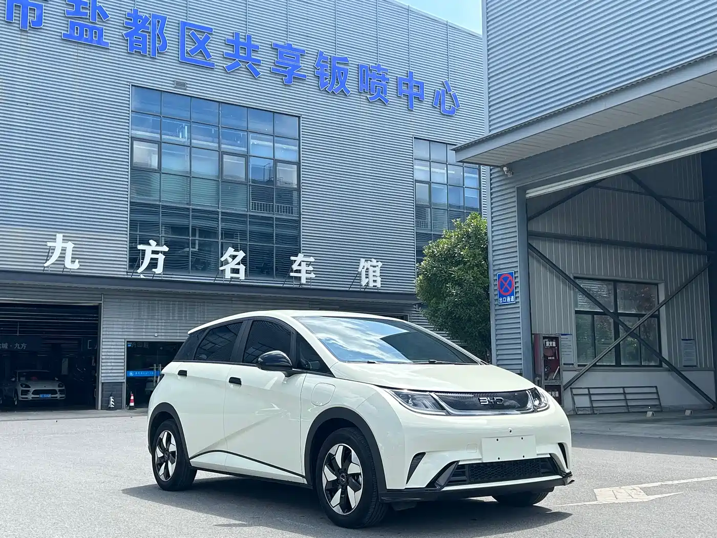 BYD Dolphin 2024 Glory Edition 420km Freedom Edition фото 3