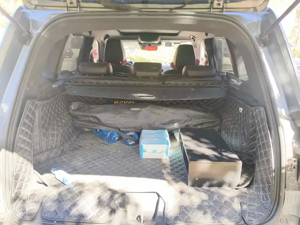 Haval Dargo 2021 2021 1.5T DCT 2WD Border Collie - Wangcai Edition