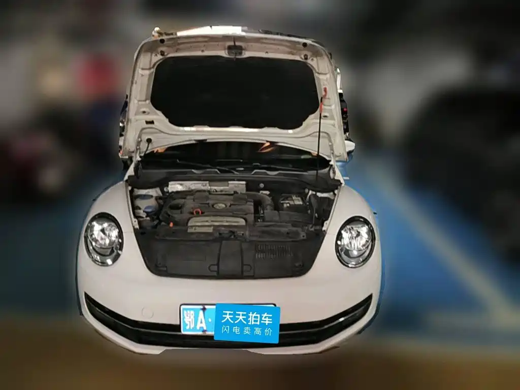Фото 3 - Volkswagen Beetle