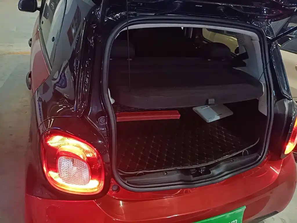 Фото 19 - smart forfour