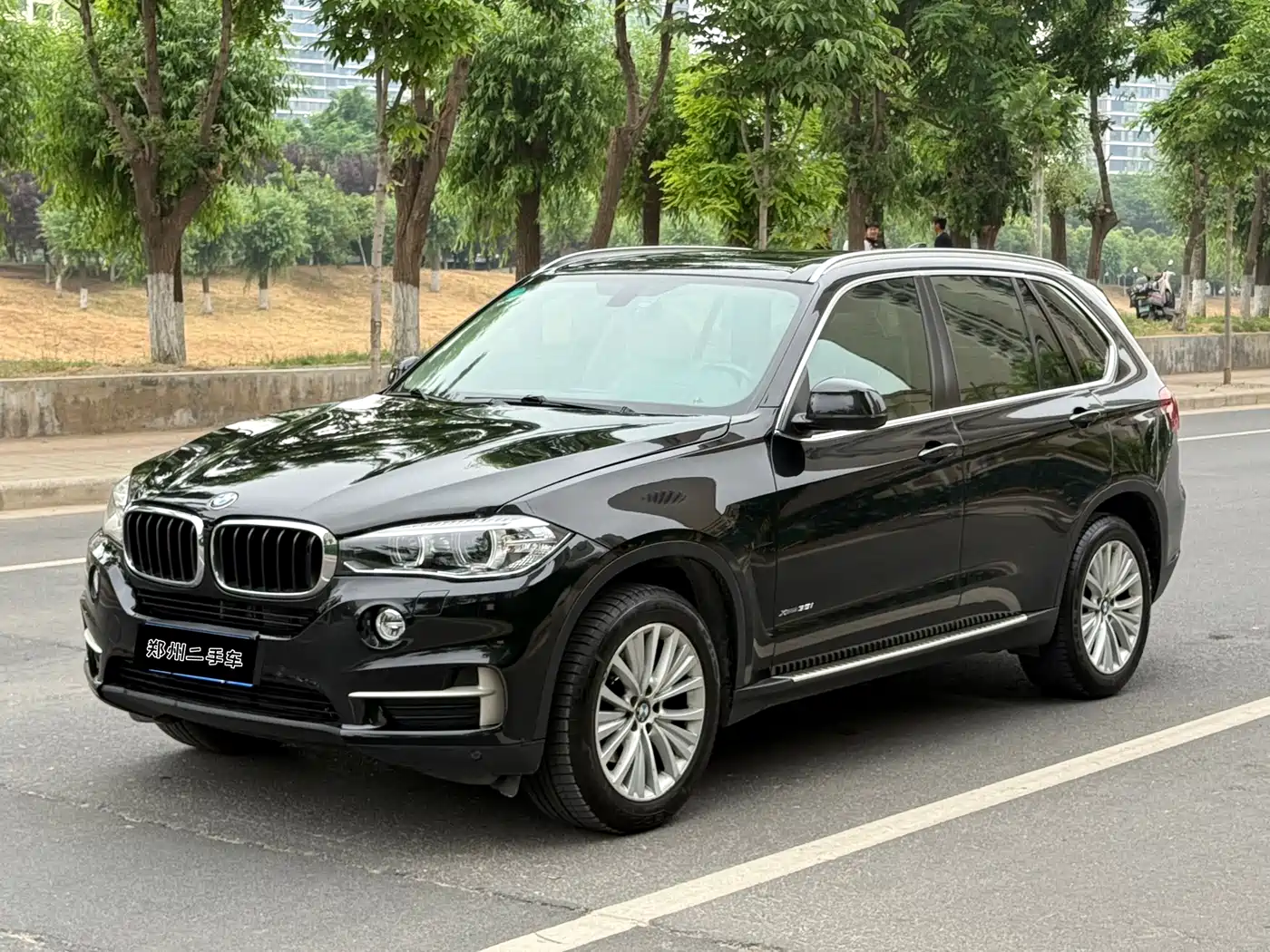 BMW X5 (Import) 2014 xDrive35i Leading