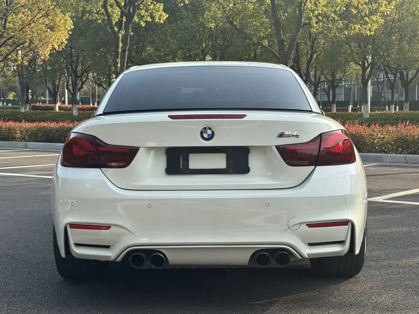 BMW M4 2014 M4 Convertible Coupe фото 5