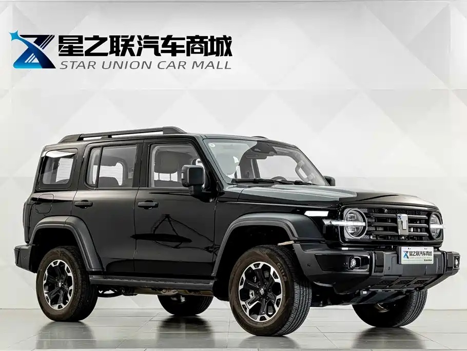 Tank 300 New Energy 2025 2025 Hi4-T 36.7kWh Edition