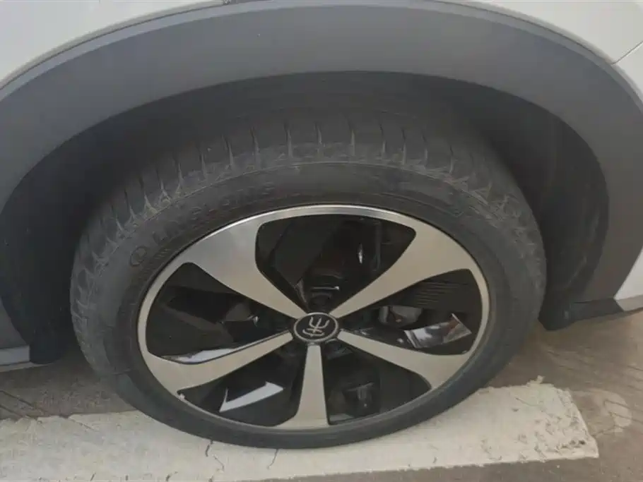 BYD Song PLUS PHEV 2023 Champion Edition DM-i 110KM Flagship PLUS фото 6