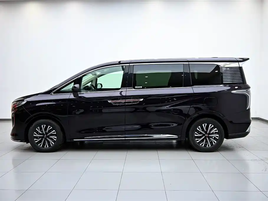 Hongqi HQ9 PHEV 2024 Model 2.0T AWD Luxury Edition фото 5