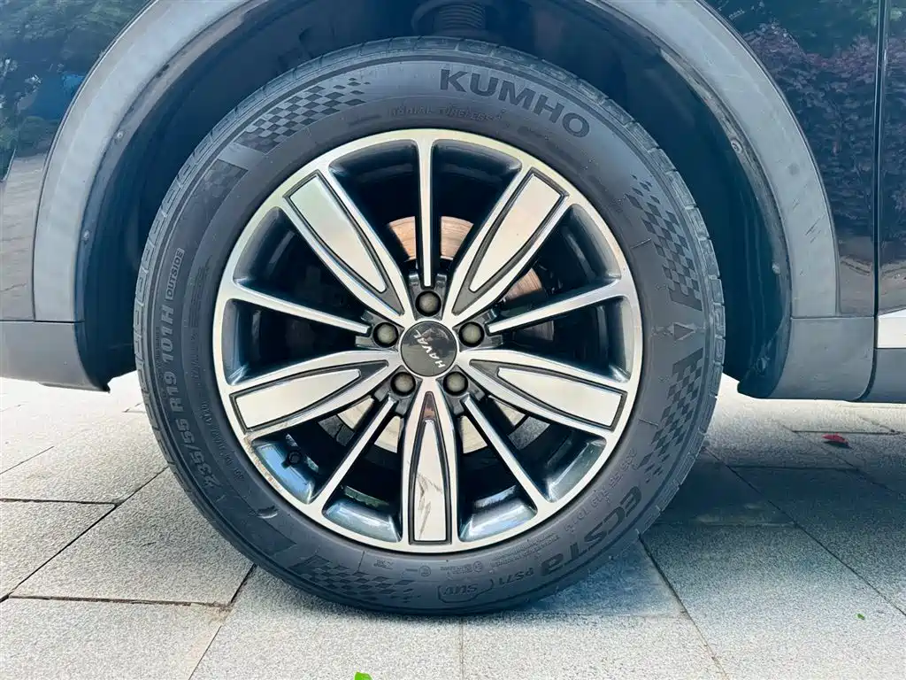 Haval H6 2021 1.5GDIT Automatic Champion Edition фото 10