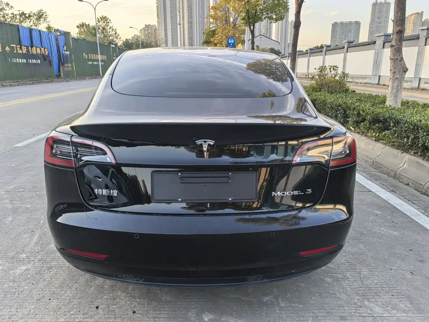 TESLA MODEL 3