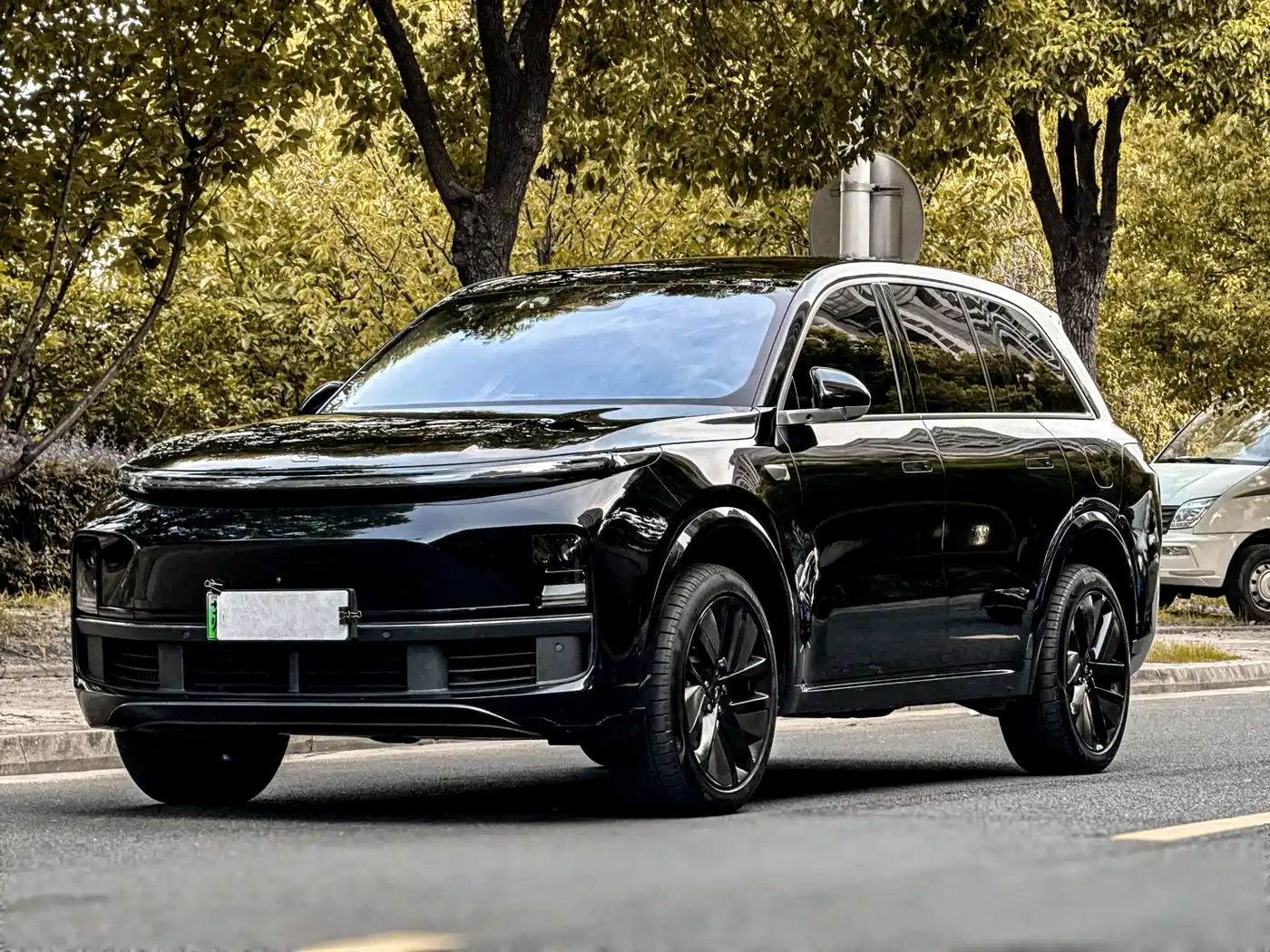 Li Auto Li L8 2023 2023 Pro