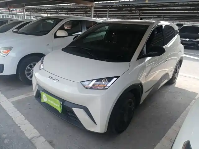 BYD Seagull 2024