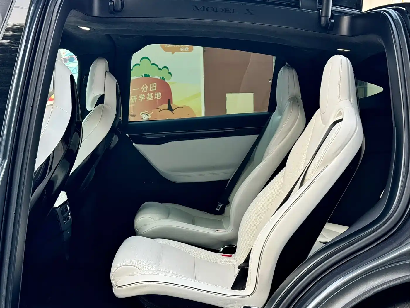 Фото 8 - Tesla Model X