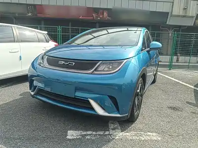 BYD Dolphin