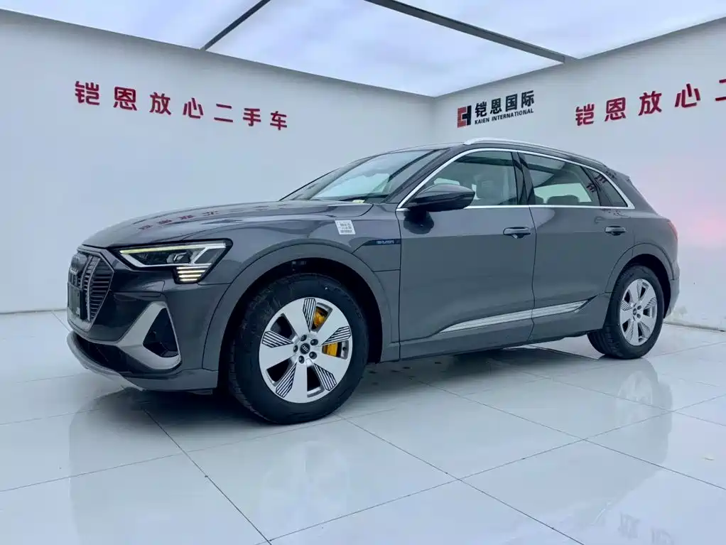 Audi e-tron 2026 2021 50 quattro Luxury