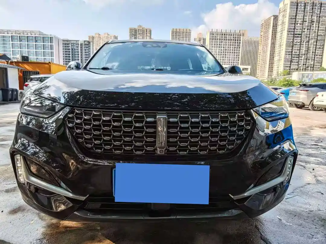 Фото 2 - WEY VV6
