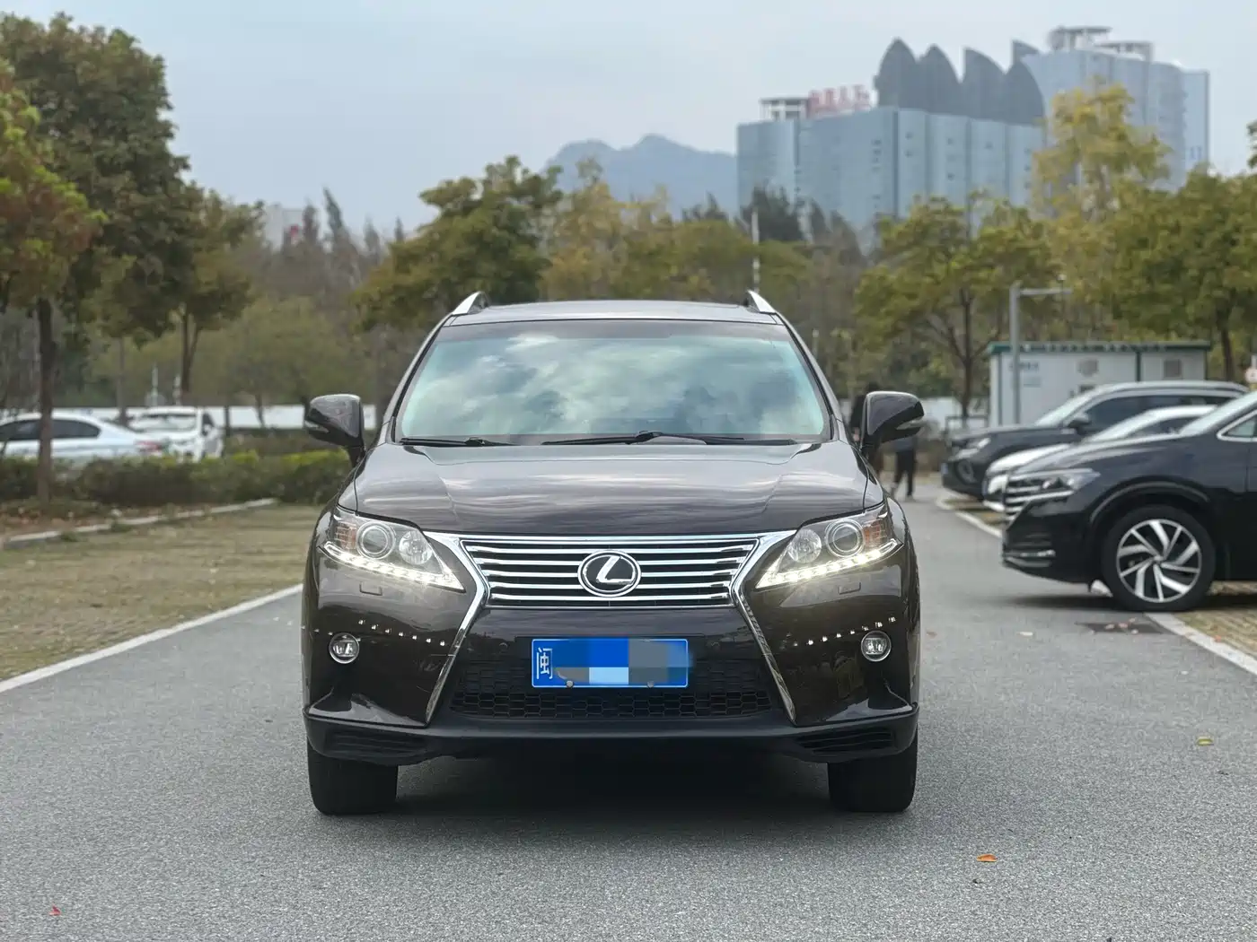 Lexus RX Classic 2014 270 Special Limited Edition фото 2
