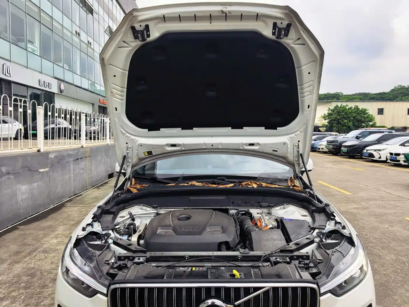 Volvo XC60 Plug-in Hybrid 2024 2025 Plug-in Hybrid Long Range AWD Zhiya Luxury Edition