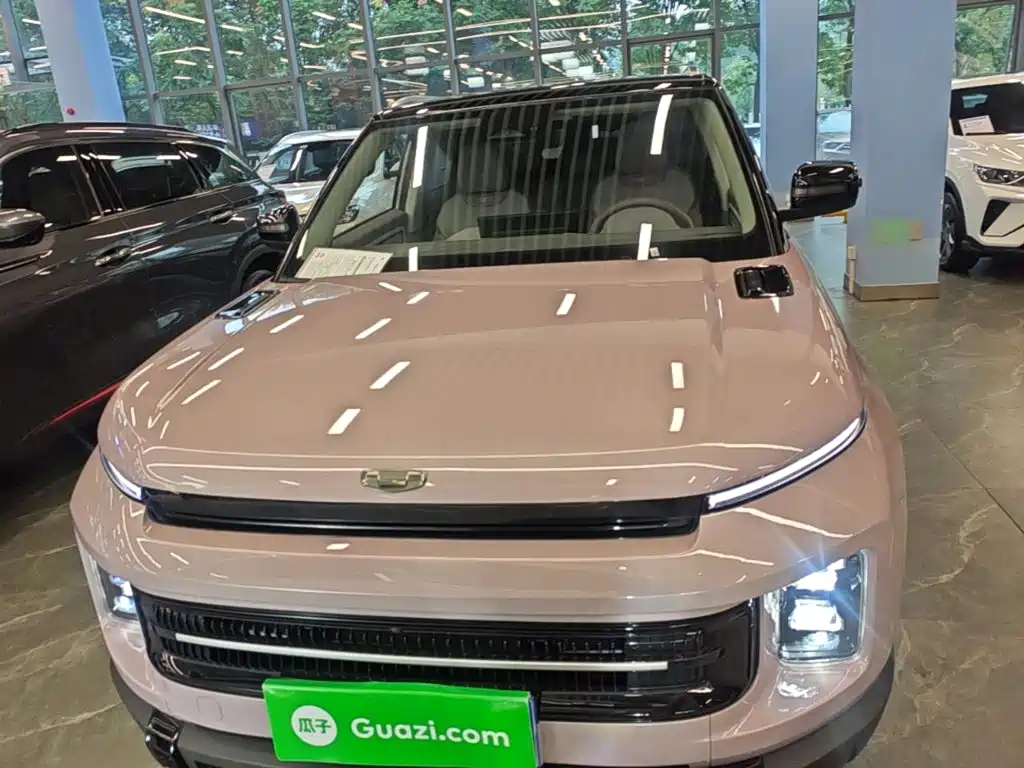 Фото 3 - Geely ICON