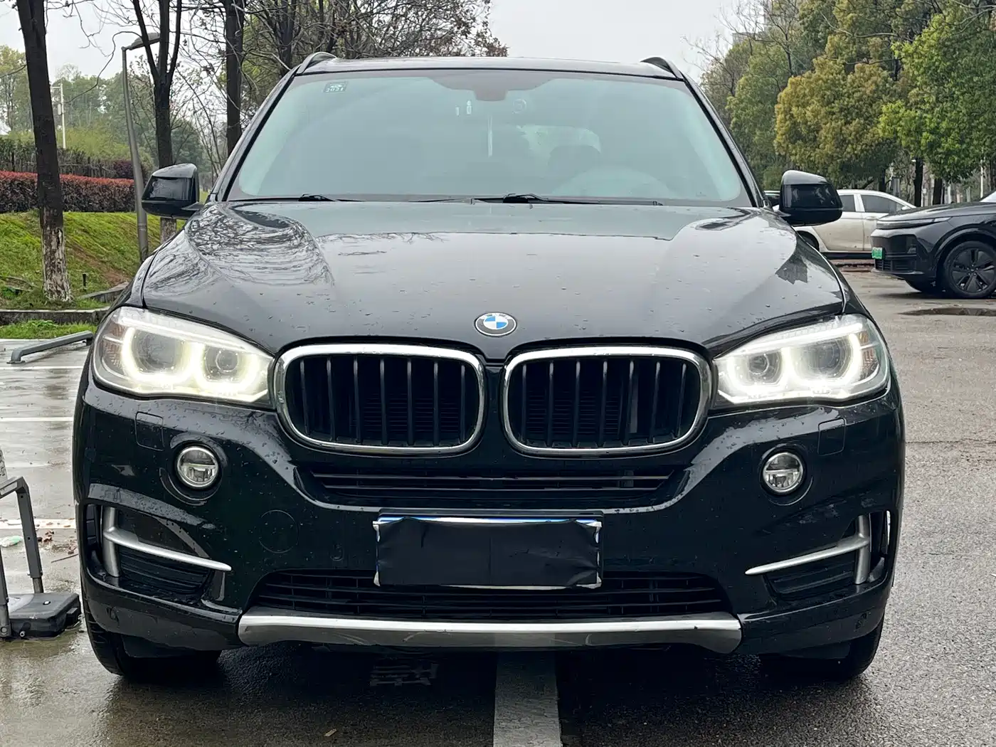 BMW X5 (Import) 2014 xDrive35i Luxury фото 2