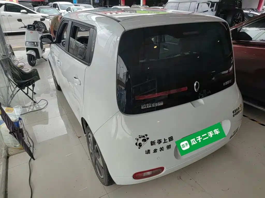 Ora White Cat 2021 2020 305km Luxury