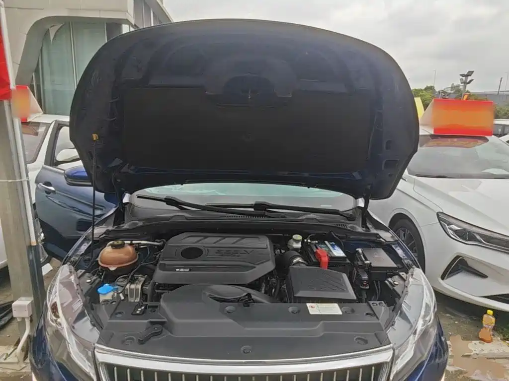 Geely Emgrand GL 2020 2020 1.4T CVT Luxury