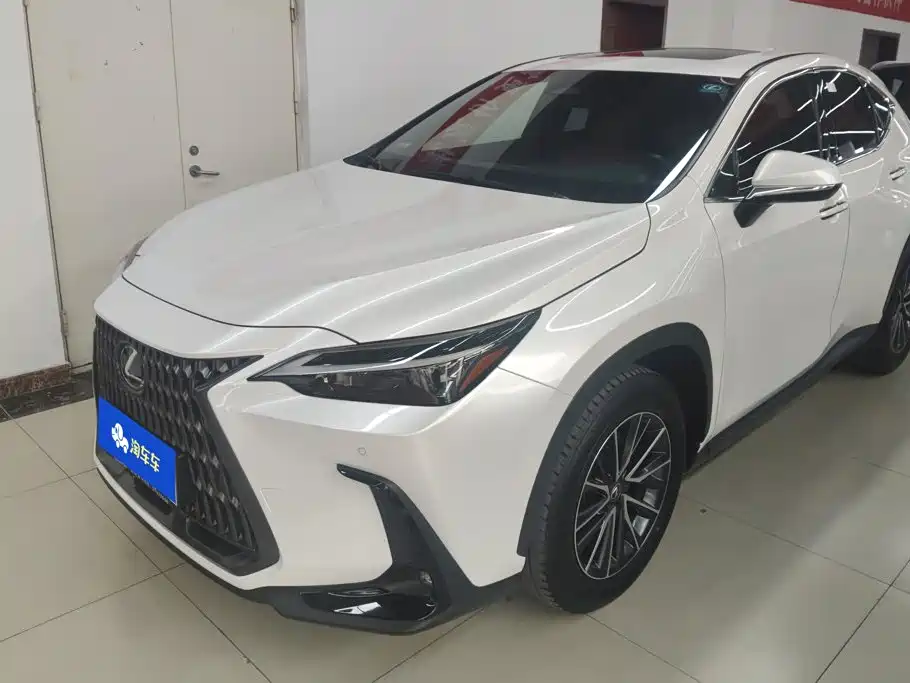 Lexus NX 2023 2022 260 FWD Joy Creation Edition