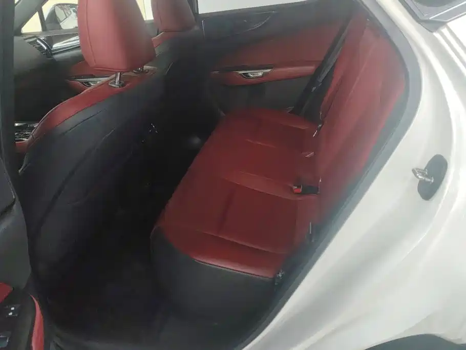 Lexus NX 2023 2022 260 FWD Joy Creation Edition