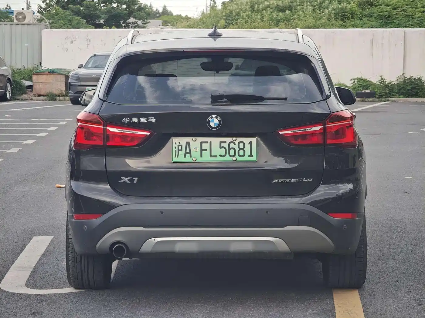 BMW X1 New Energy 2018 2019 xDrive25Le Luxury