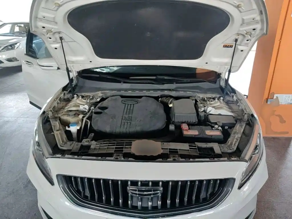 Geely Borui 2021 2021 1.8T Pilot Edition+
