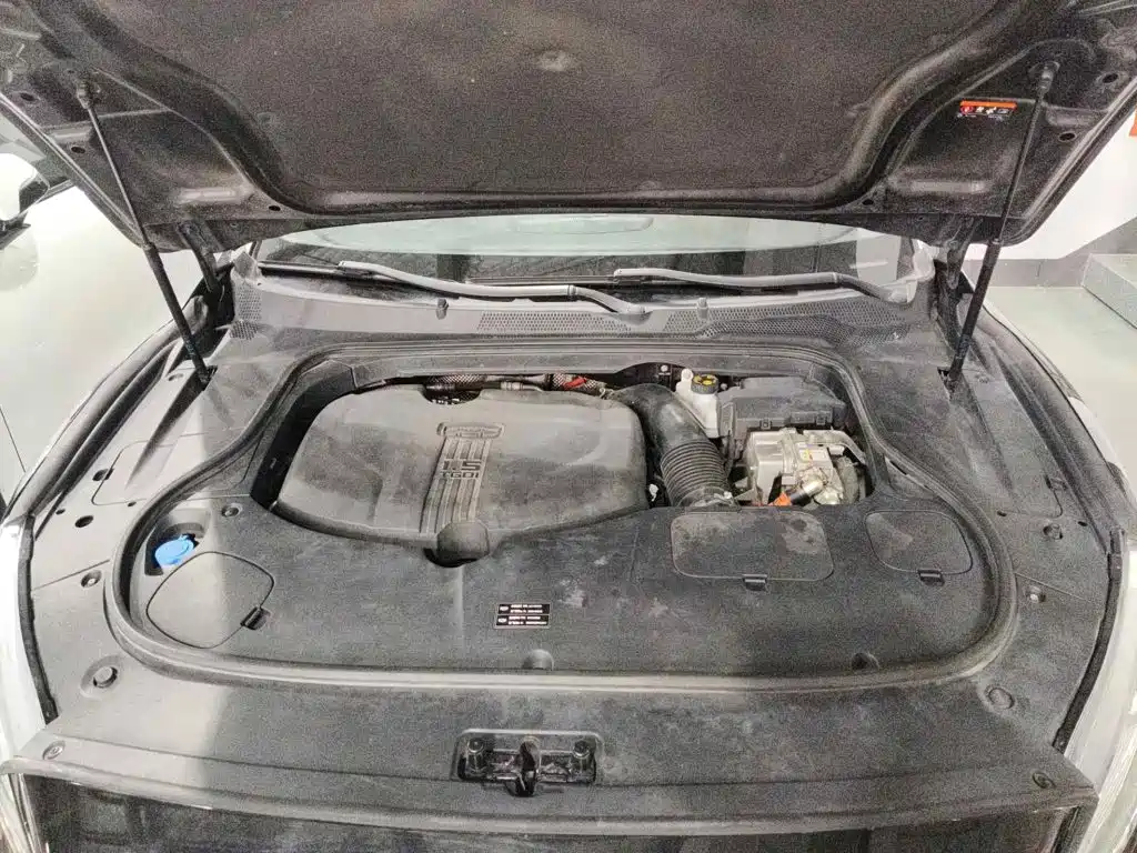 Geely Borui PHEV 2021 2021 1.5T ePro Leading Glory Edition