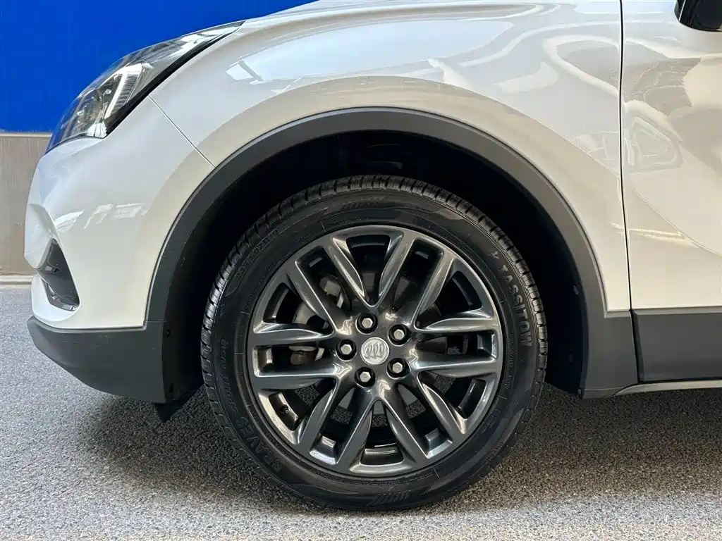 Фото 6 - Buick Envision Plus