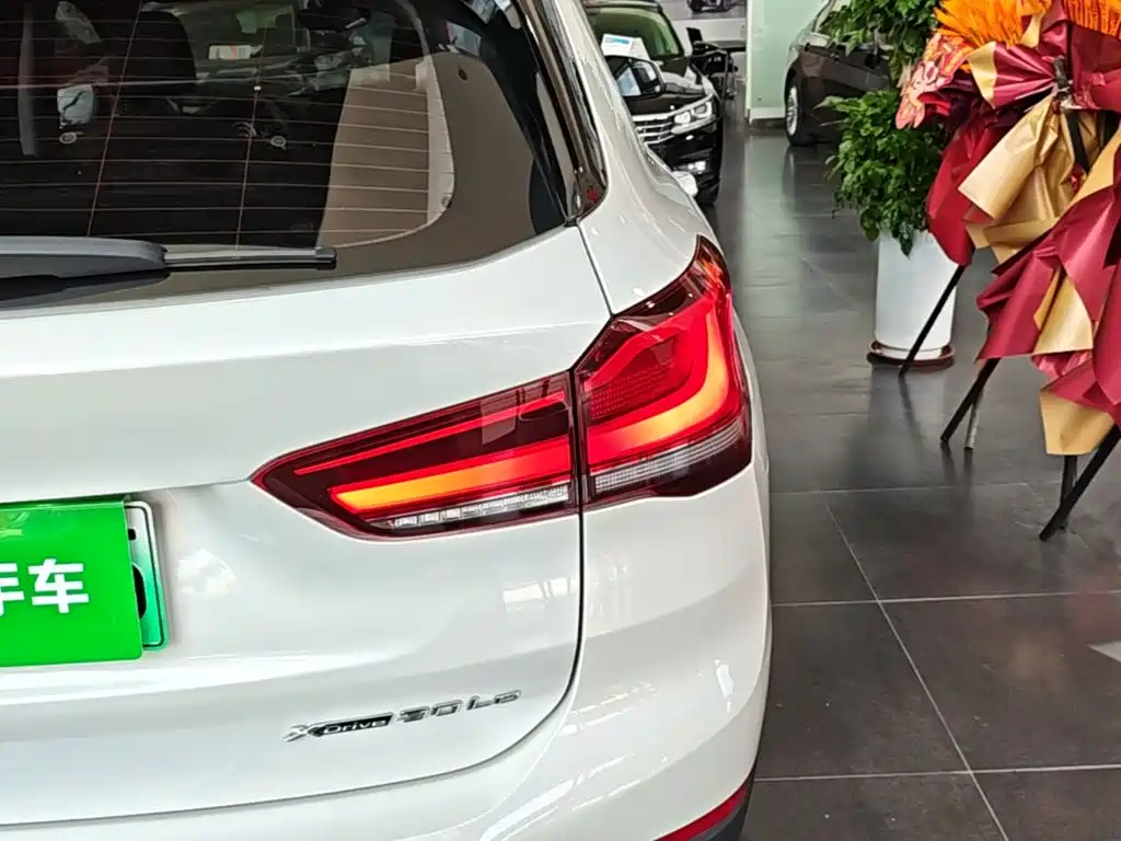 BMW X1 New Energy 2021 2020 xDrive30Le Premium Edition
