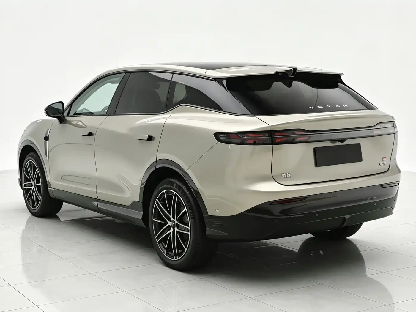 2026 Voyah Auto Voyah Zhiyin