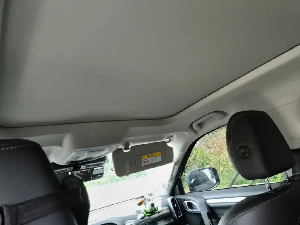 Photo 9 - Haval Big Dog