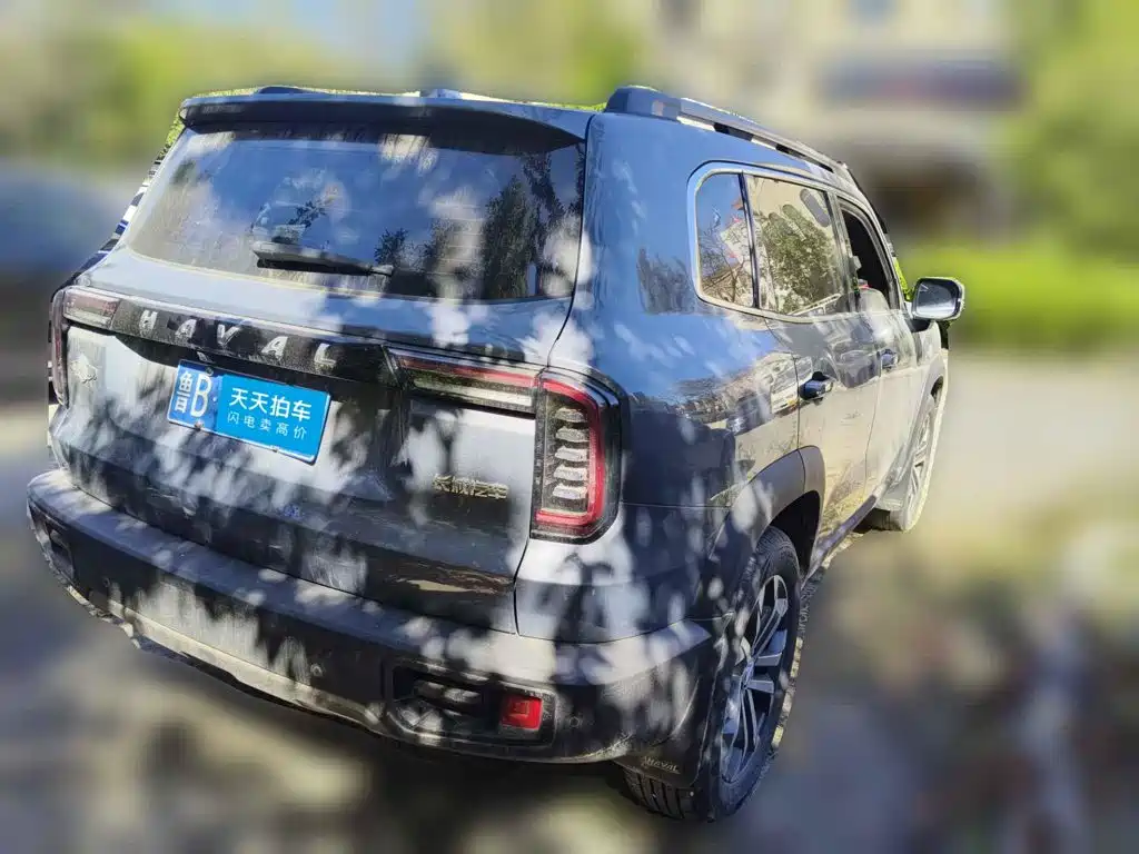 Haval Dargo 2021 2021 1.5T DCT 2WD Border Collie - Wangcai Edition