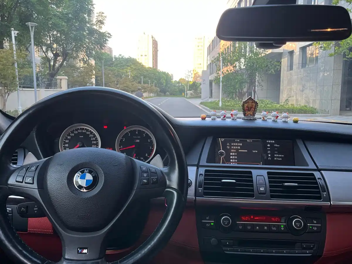 BMW X6 M 2011 2010 X6 M